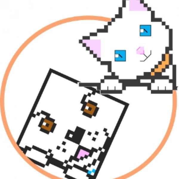 Protège-carnet classique